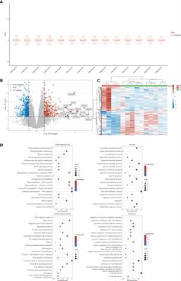 Identifying tumor antigens and immune subtypes of gastrointestinal MALT lymphoma for immunotherapy development